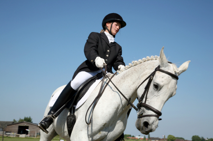English rider and beautiful white horse