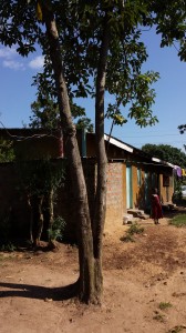 Orphan in Kenya