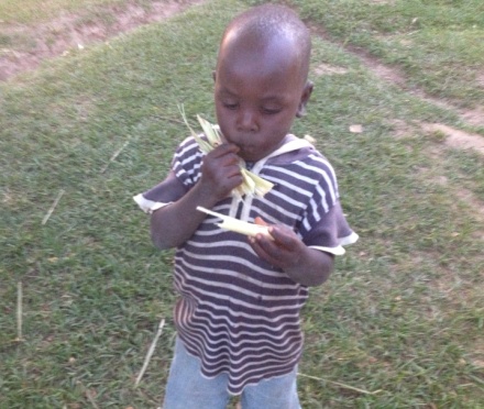 Boy eating sugar cane, Kenya, Africa