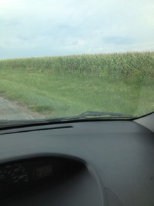 Corn