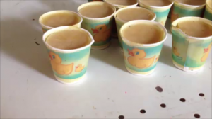 Duck candles