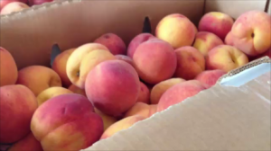 Peaches