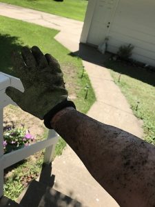 my arm