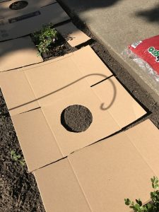 cardboard