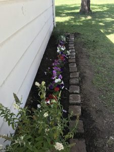 my pretty flower garden