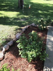 boulder rocks around roses' garden