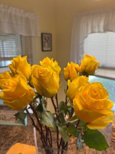 Yellow roses for my birthday